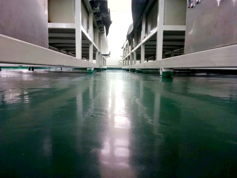 5b3f646802711.jpg